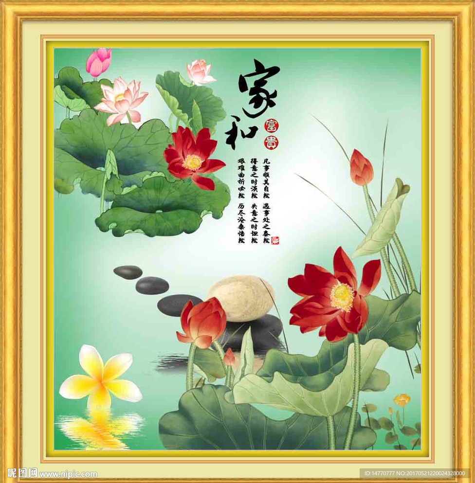 荷花 家和万事兴