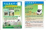 视力提升海报