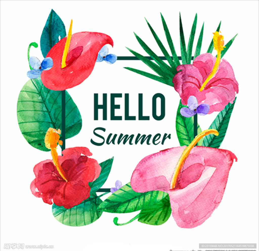 手绘水彩夏季花卉