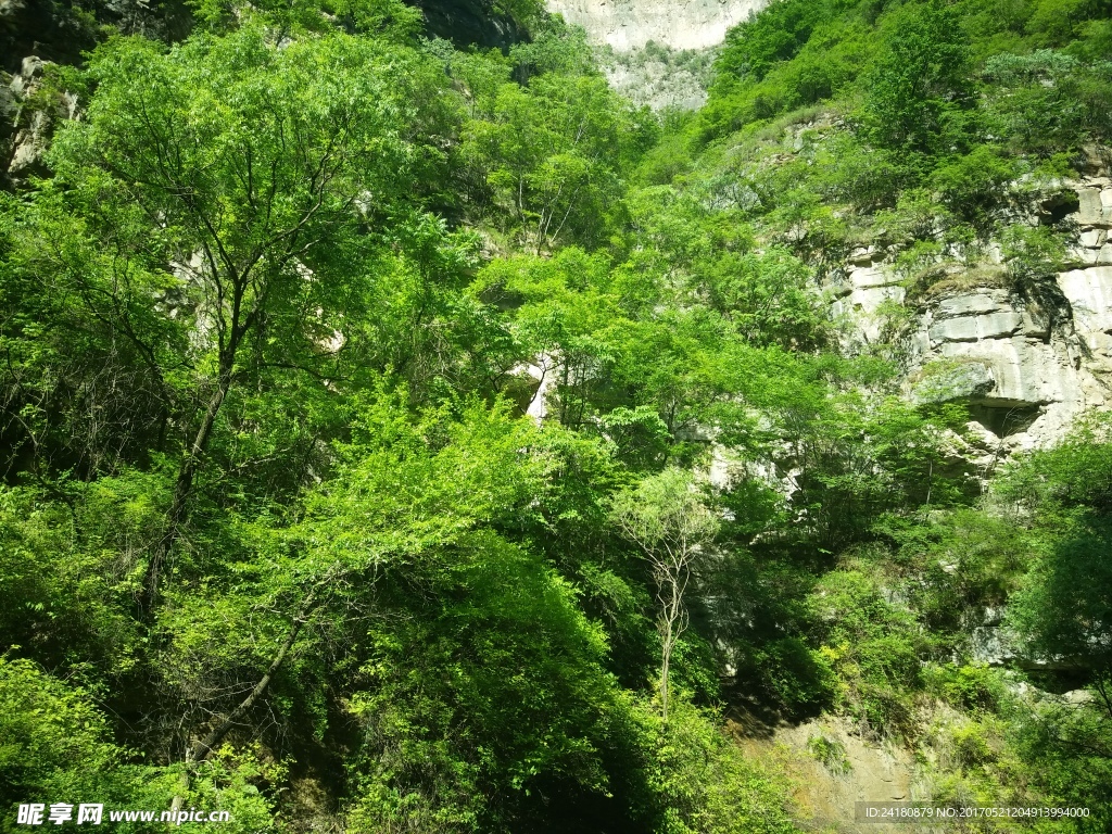 八泉峡