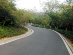 公园山间小路