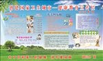 创卫