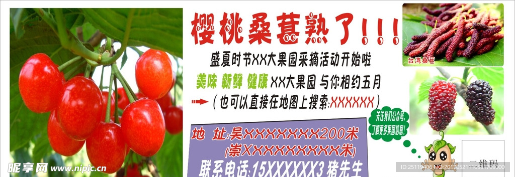 樱桃桑葚写真喷绘