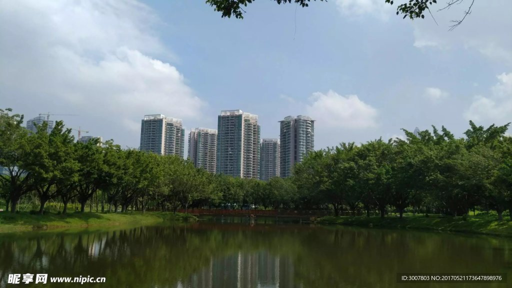 红树林远景