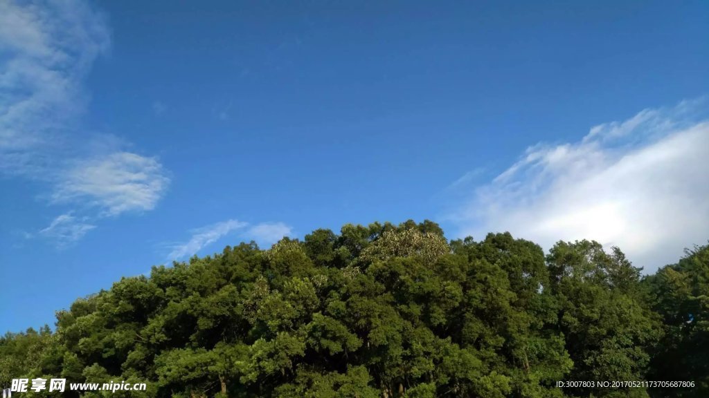 绿意蓝天