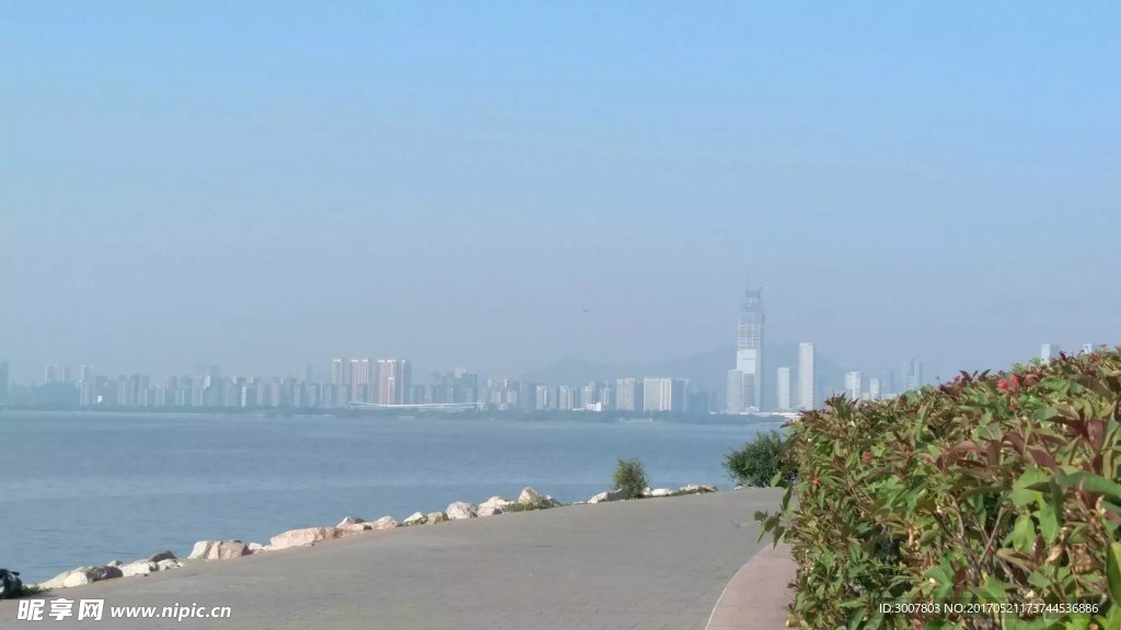 远眺的海湾