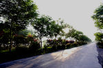 路边风景
