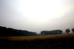 丰收景象