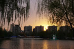 城市 黄昏 湖面
