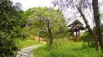 小景