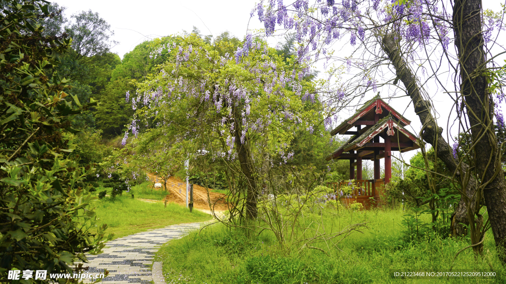 小景
