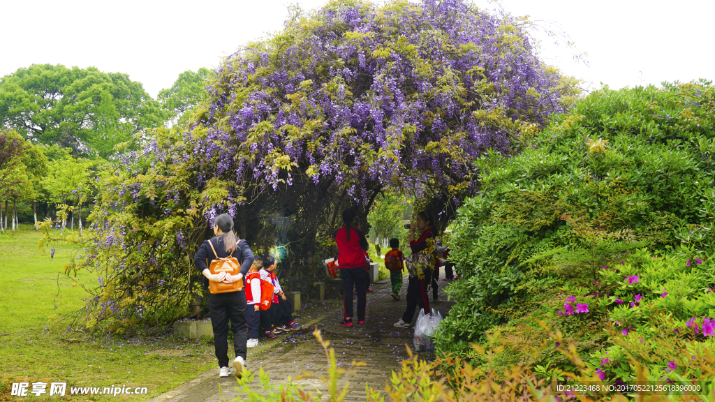 鲜花洞