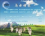 公司展板 马云语录