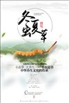 简约大气冬虫夏草海报设计