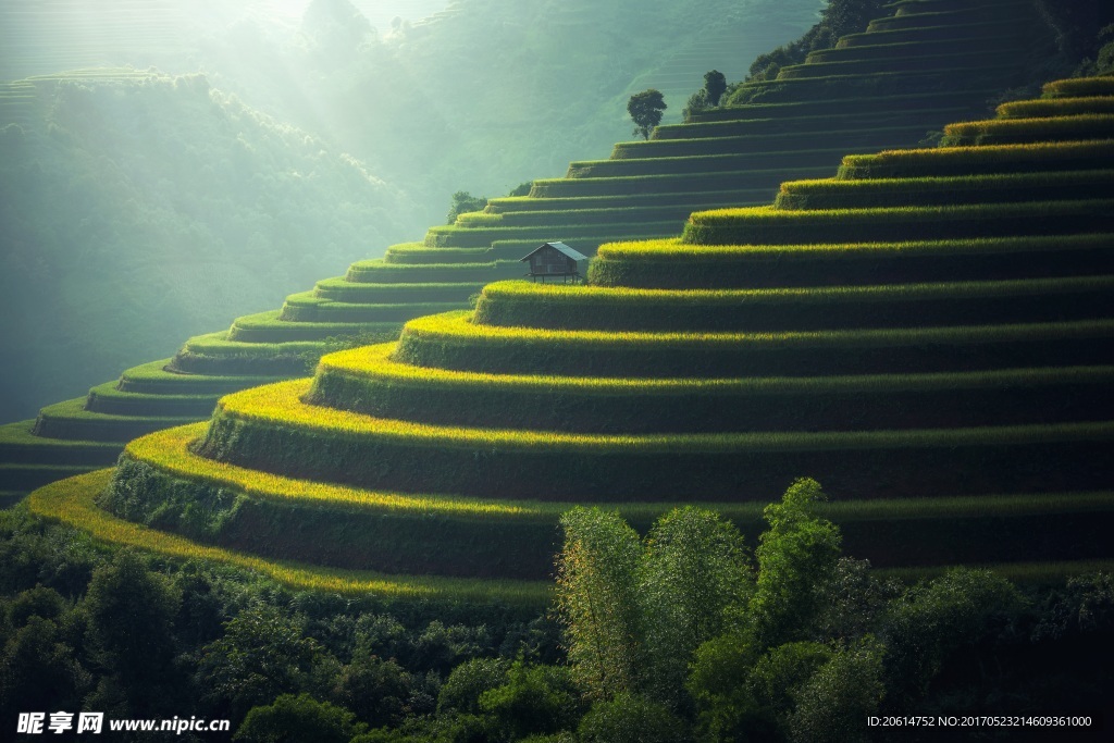 梯田美景