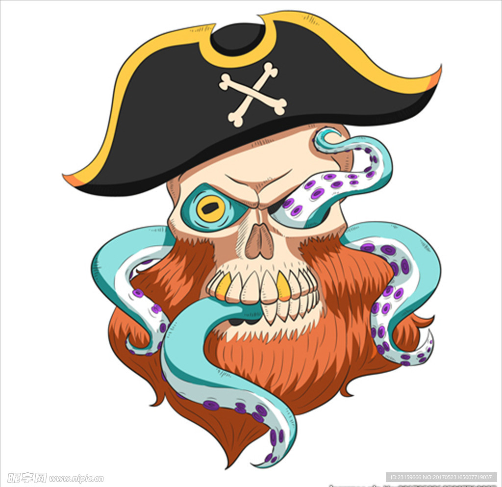 章鱼海盗船长骷髅头骨插图