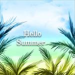 夏日热带棕榈叶的背景