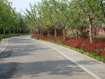 路