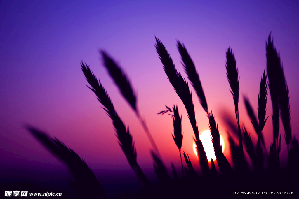 夕阳中的遐想艺术壁画