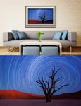 沙漠夜空的树干艺术壁画