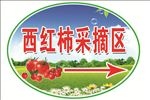 异型牌