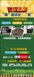 酷夏来袭展架