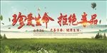 世界禁毒日公益宣传展板