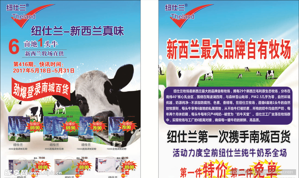 纽仕兰 奶牛传单