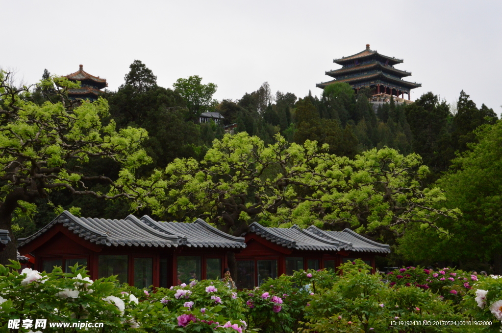 景山风景