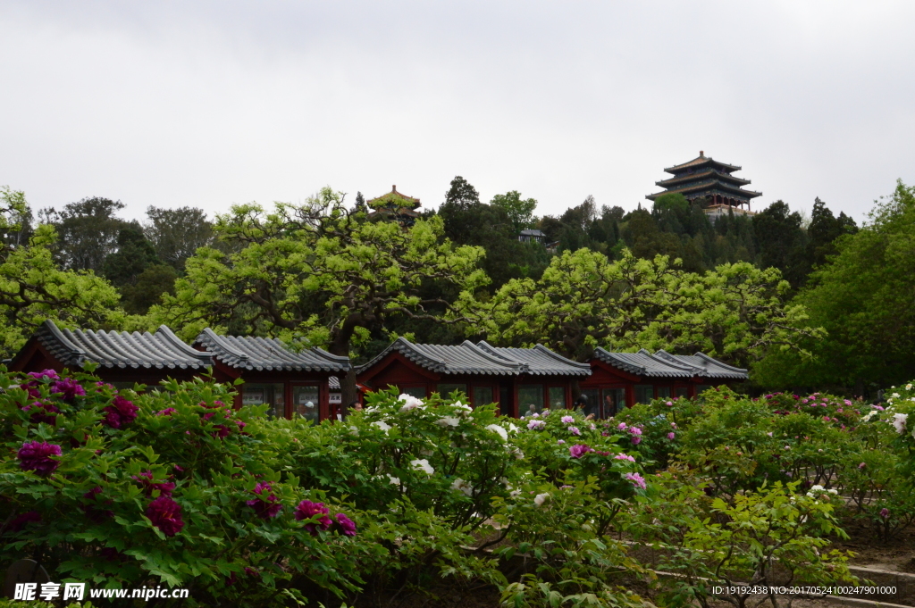 景山风景