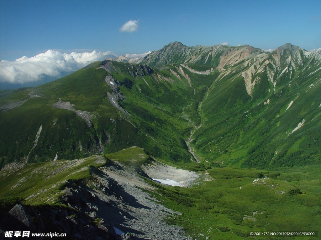 高山青