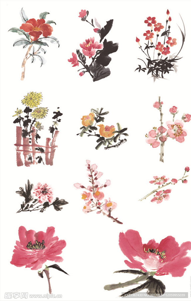 国画花卉