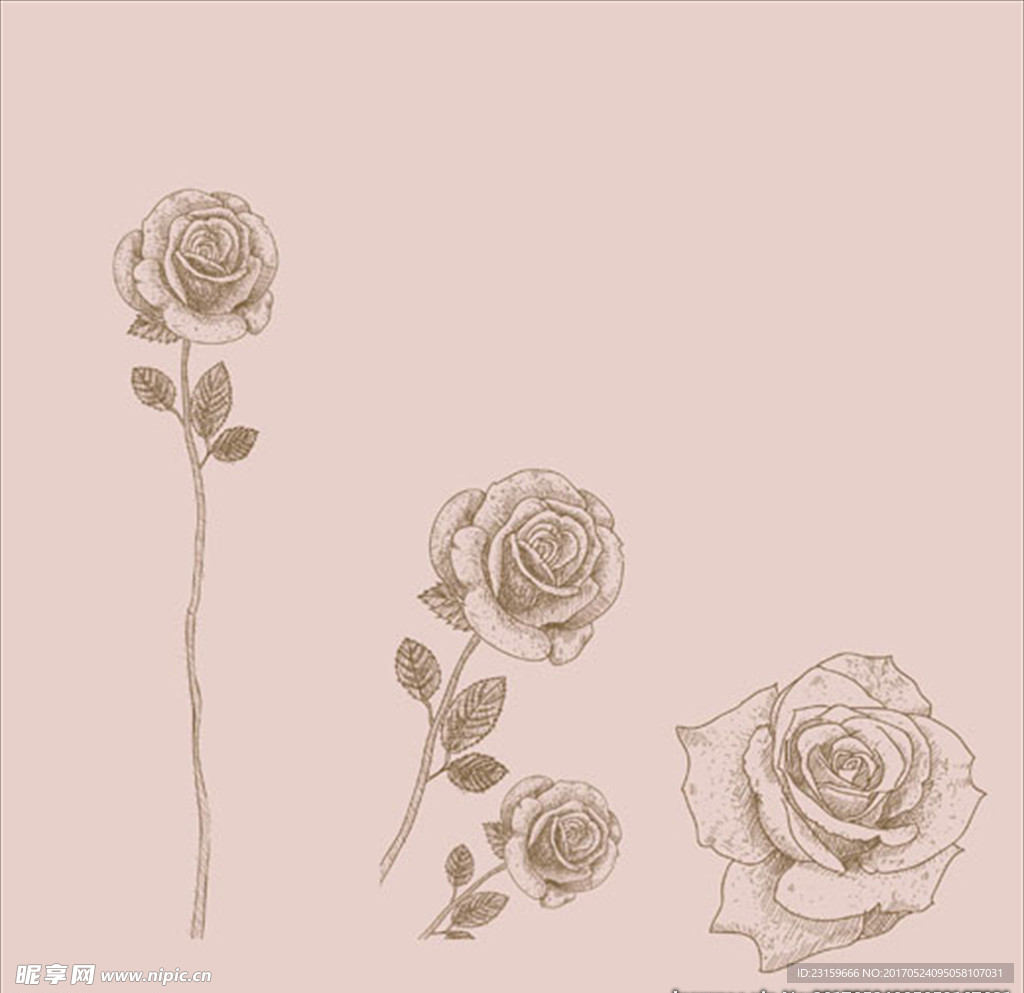 手绘玫瑰花