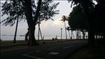东海岸