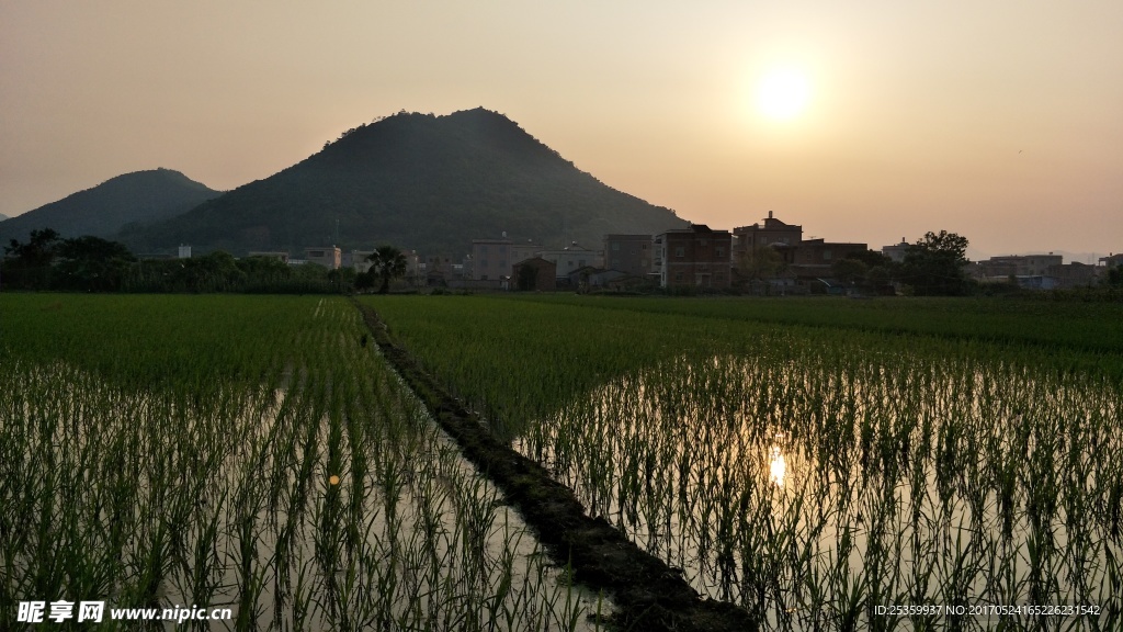 黄昏下的乡间田野