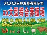 养殖场海报 招牌