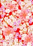 和风花纹
