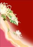 菊花扇