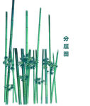 竹子