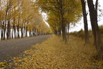 秋天的小路