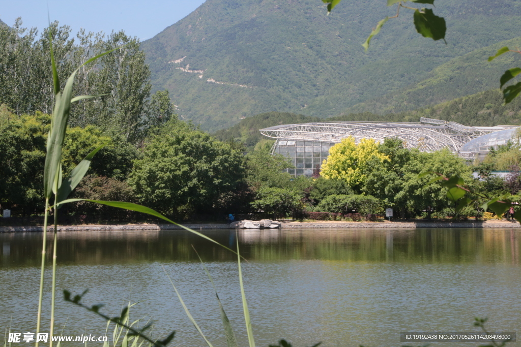 植物园风景