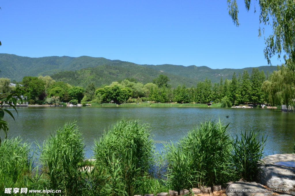 植物园风景