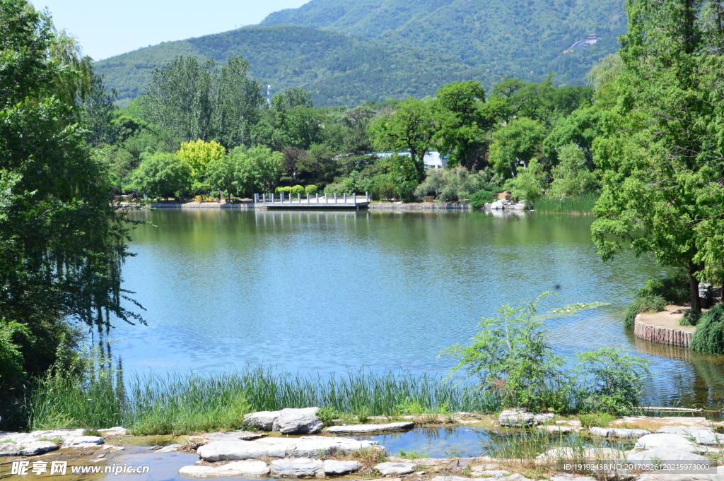 植物园风景