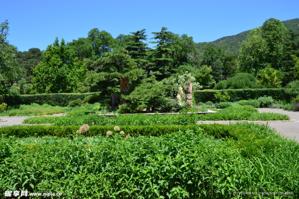 植物园风景