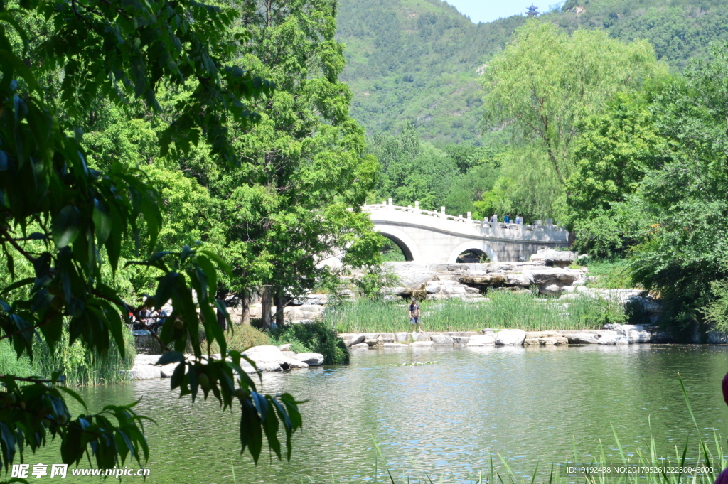 植物园风景