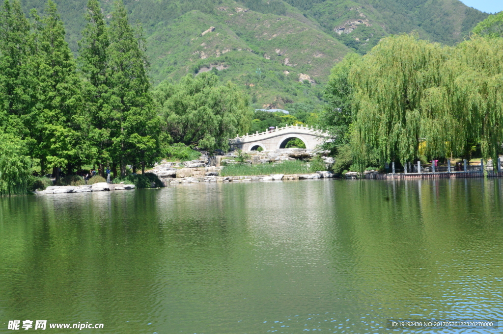 夏日植物园