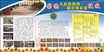 学校展版