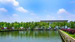 湖畔一景