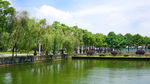 水边一景