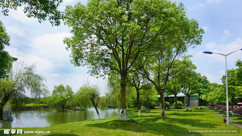 公园小景